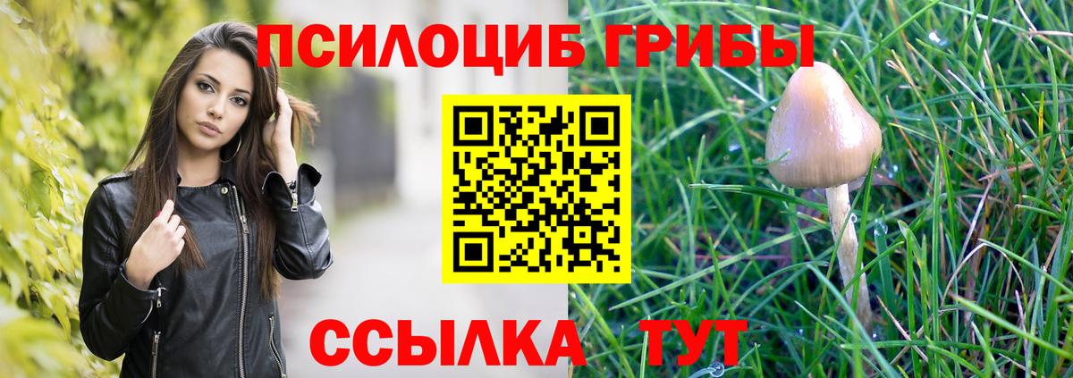 Галлюциногенные грибы GOLDEN TEACHER Протвино